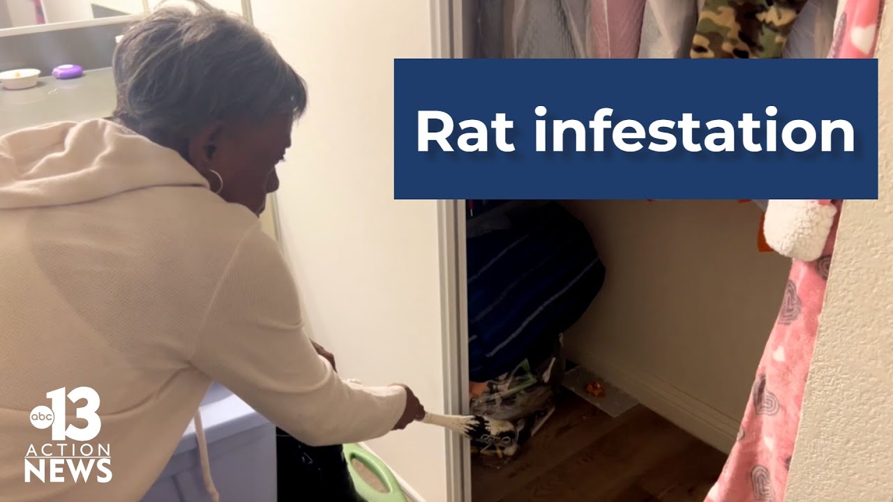 Residents complain of rat infestation at Las Vegas apartment complex