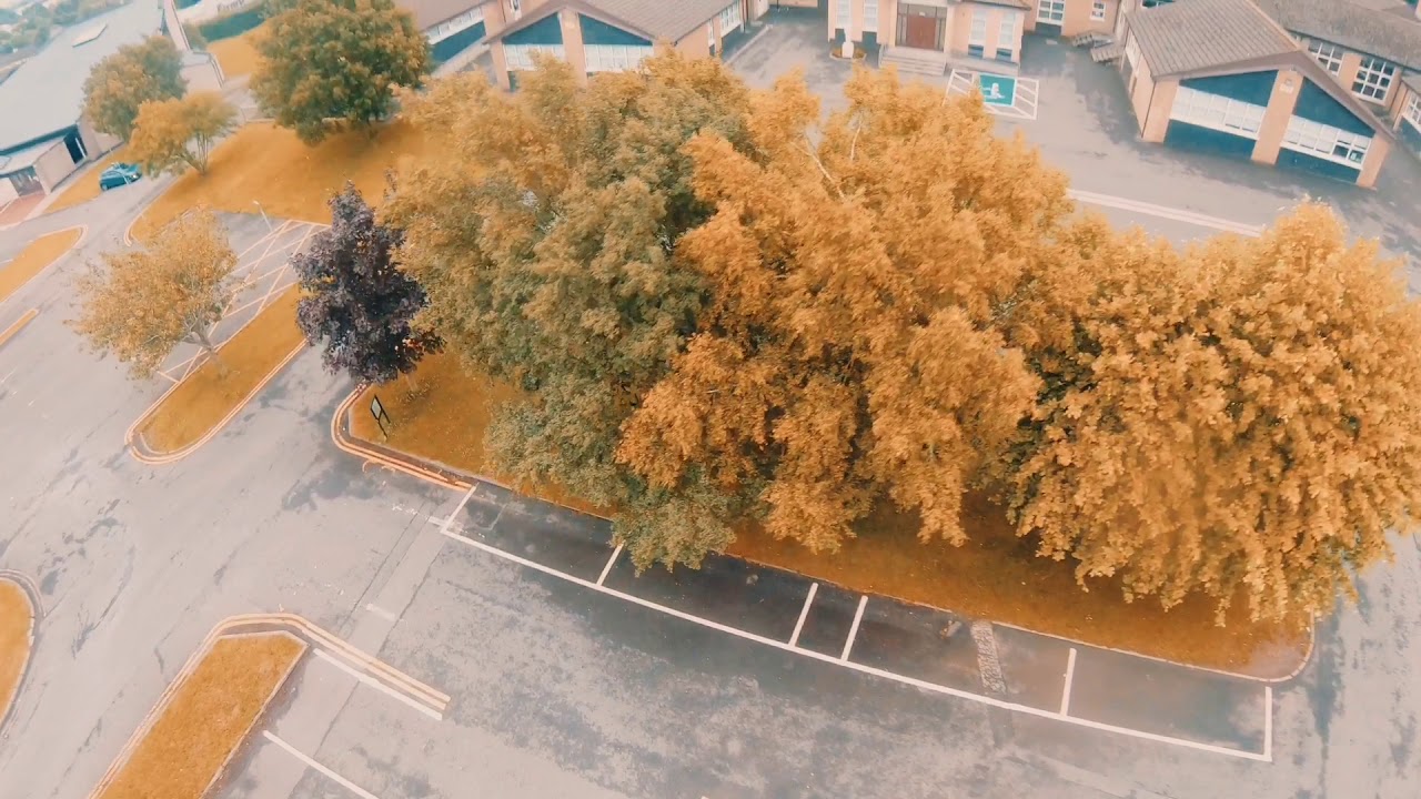 Chillin - Tbs Crossfire - Brain FPV Radix