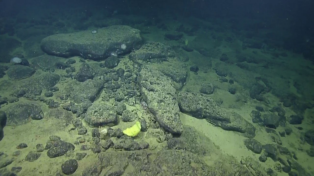ROV Hercules Dive NA124 H1841 2020 10 30 20 50 33 473 UTC 4 W1