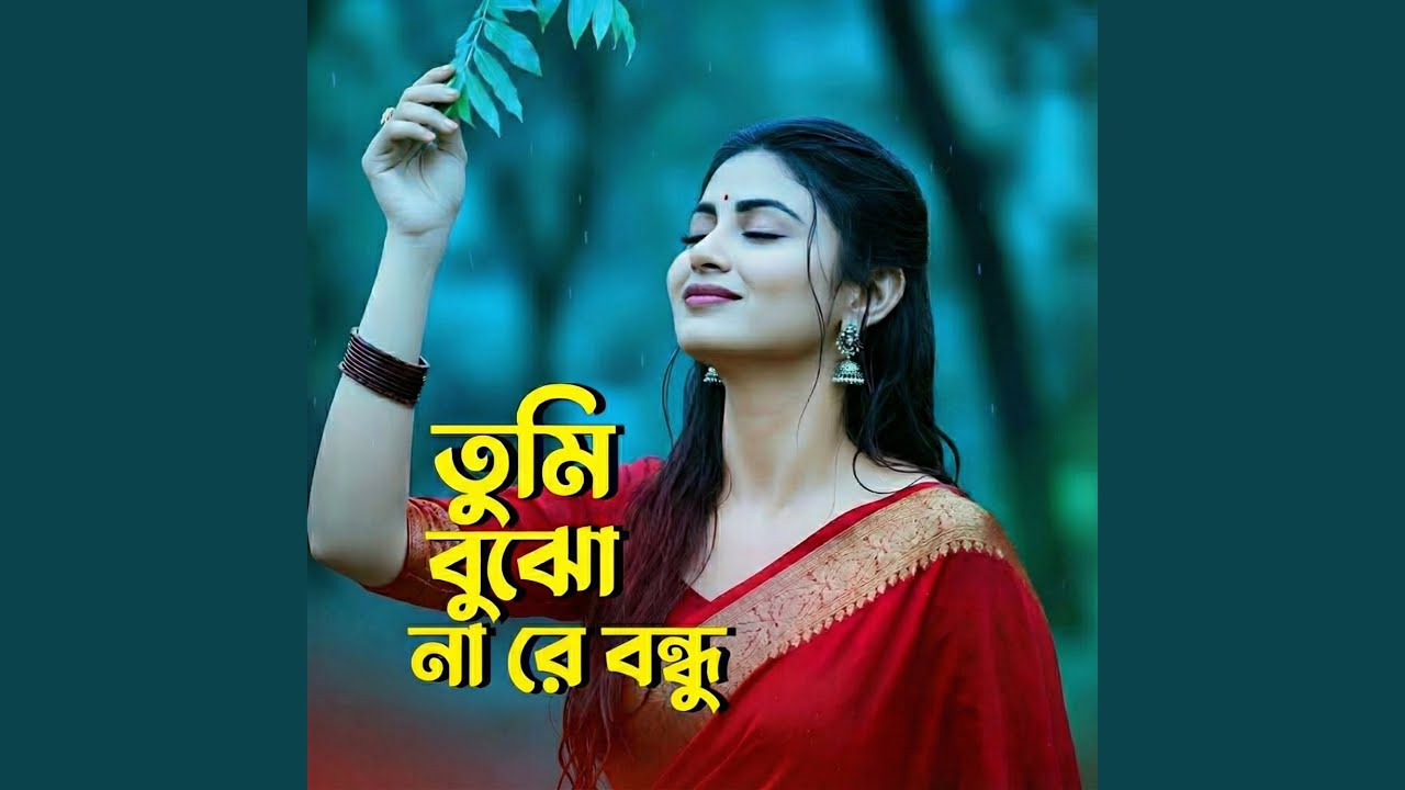 তুমি বুঝো না রে বন্ধু