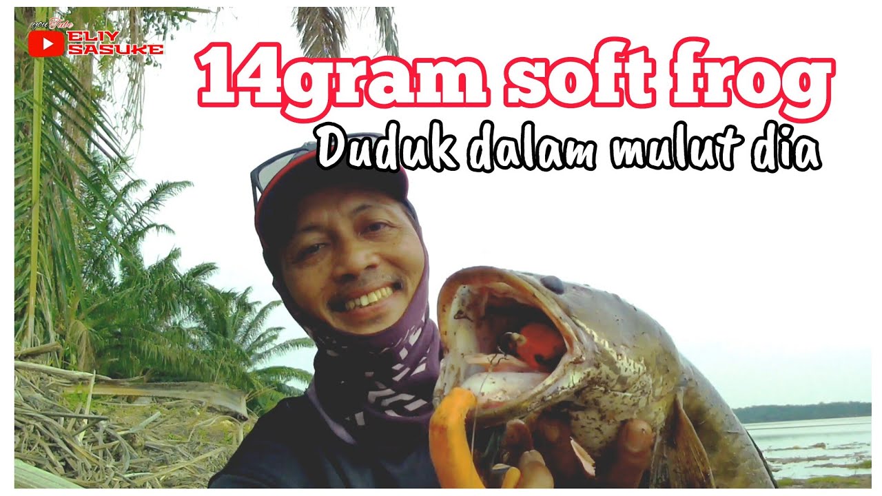 Spot handalan tak pernah mengecawakan. . Gasak selagi masih ada