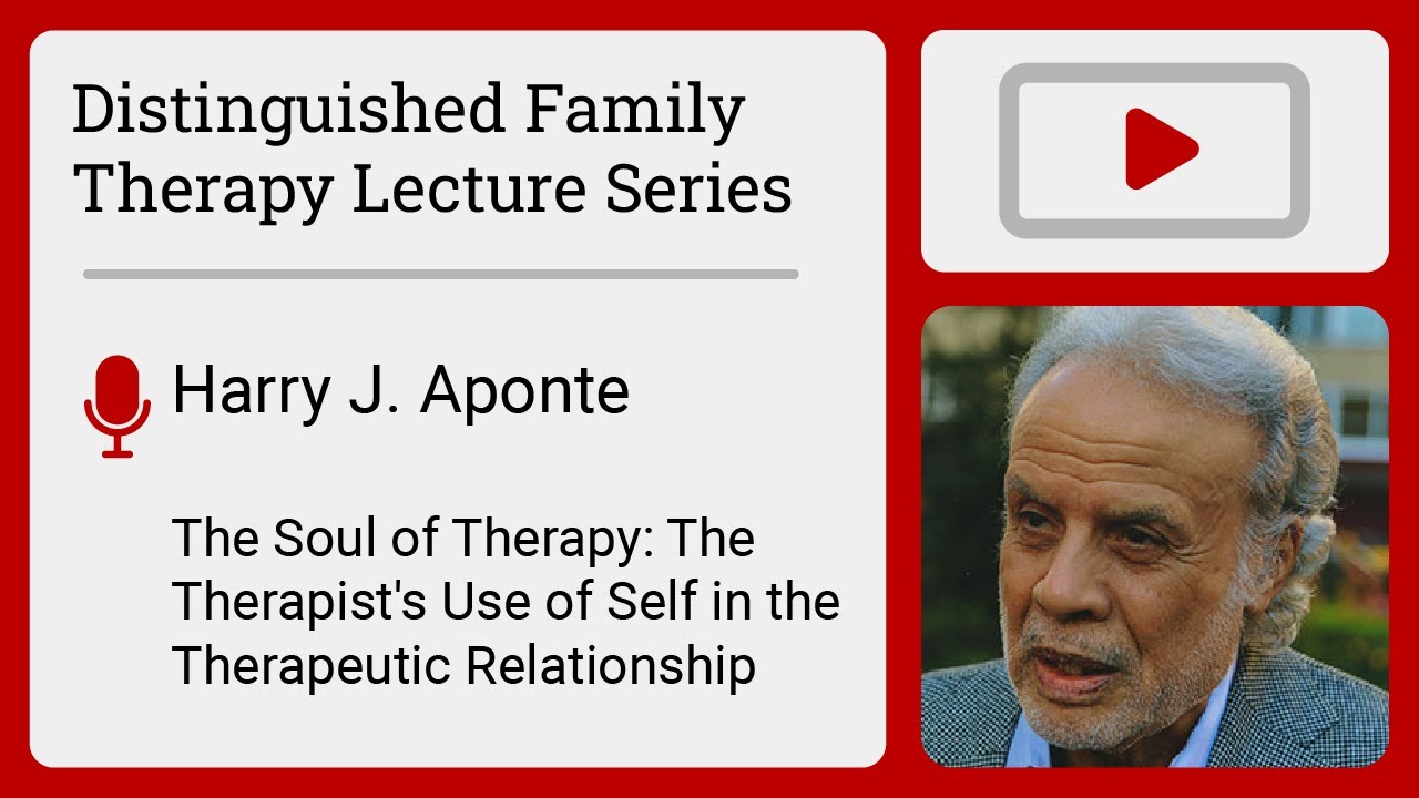 The Soul of Therapy: The Therapist's Use of Self in the Therapeutic Relationship | Harry J. Aponte