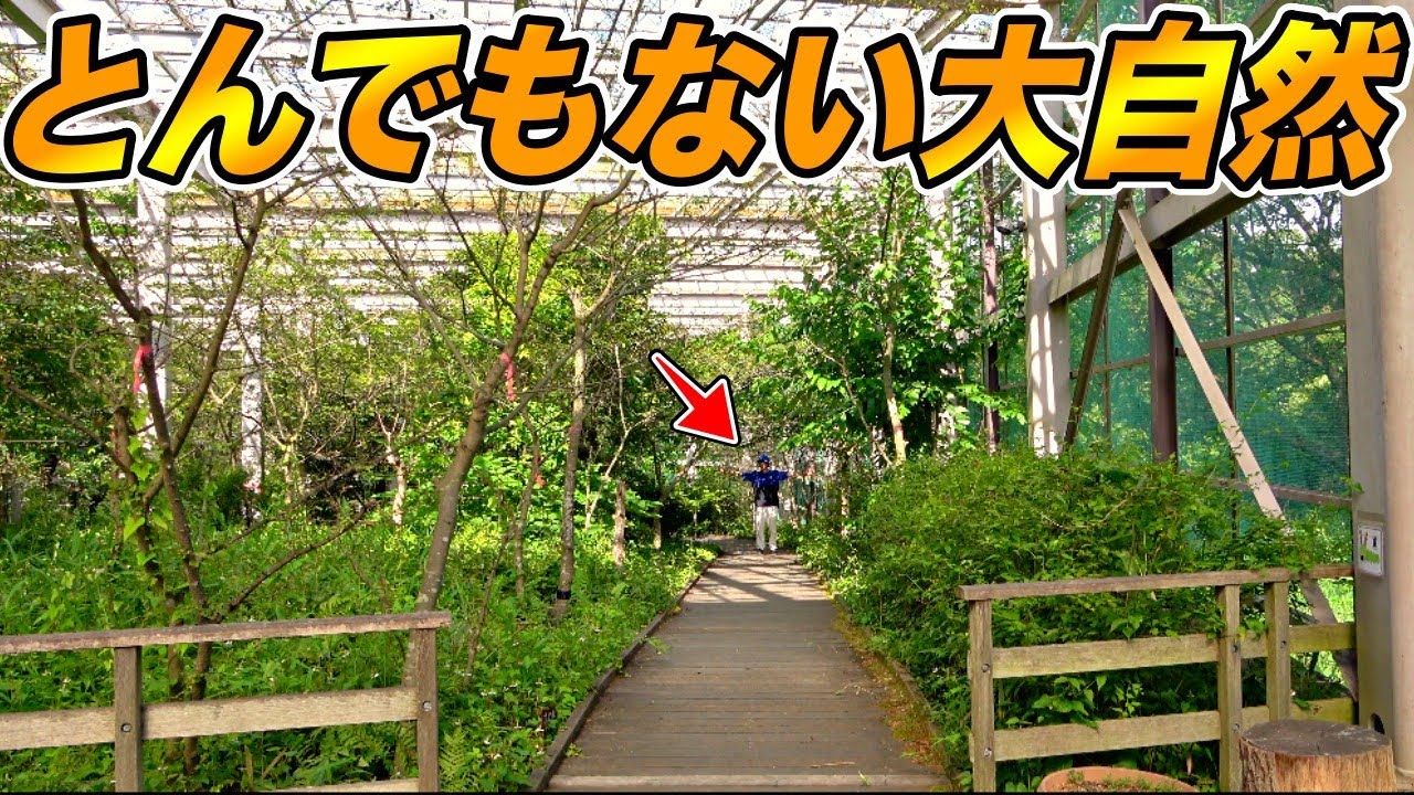 室内に作られた大自然を堪能できる施設がヤバい