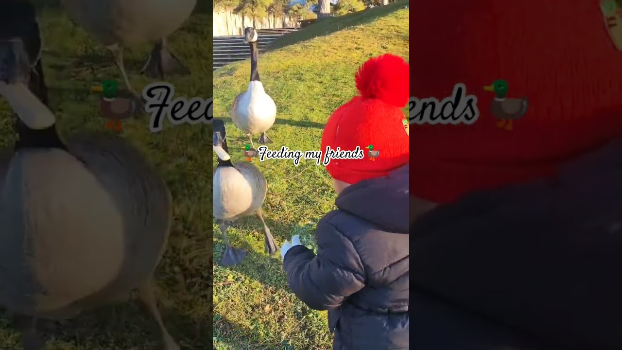Feeding my friends 