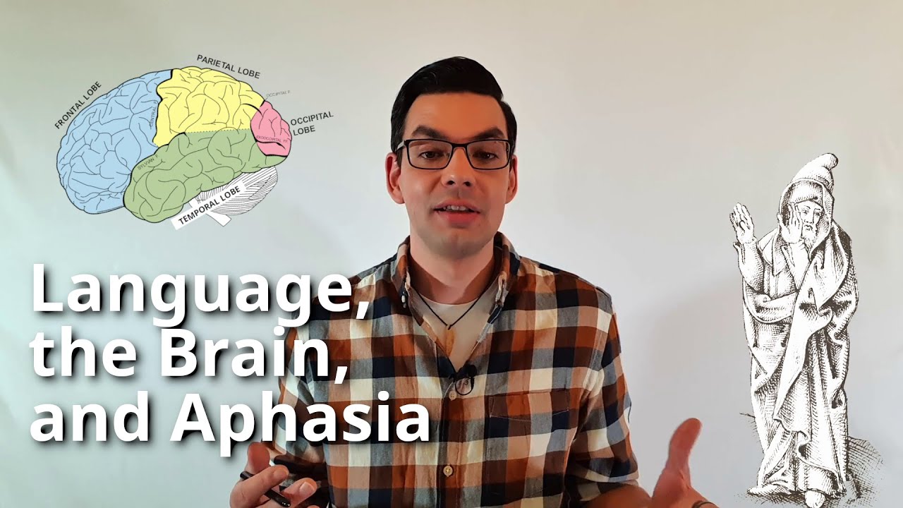Week 9.1: Language, the Brain, and Aphasia