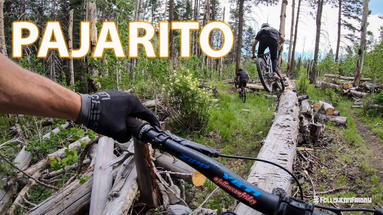 Pajarito Bike Park | New Mexico