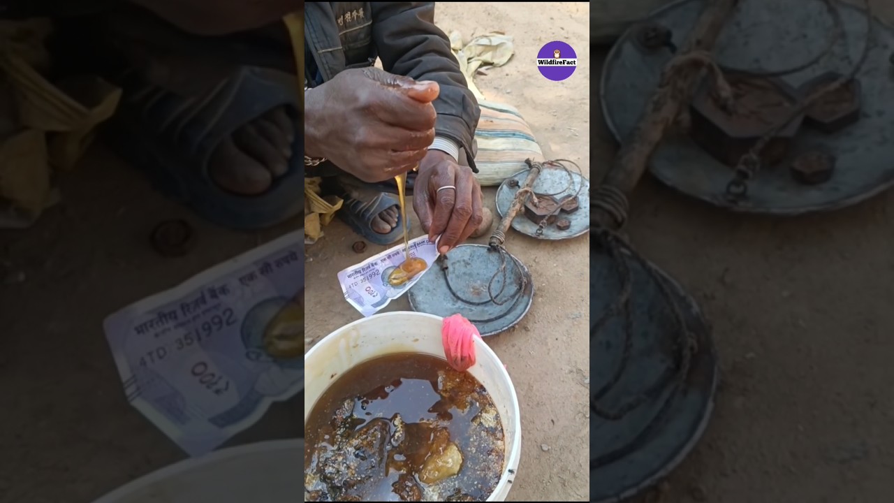 Never Make This Mistake While Buying Honey #shorts #ytshorts