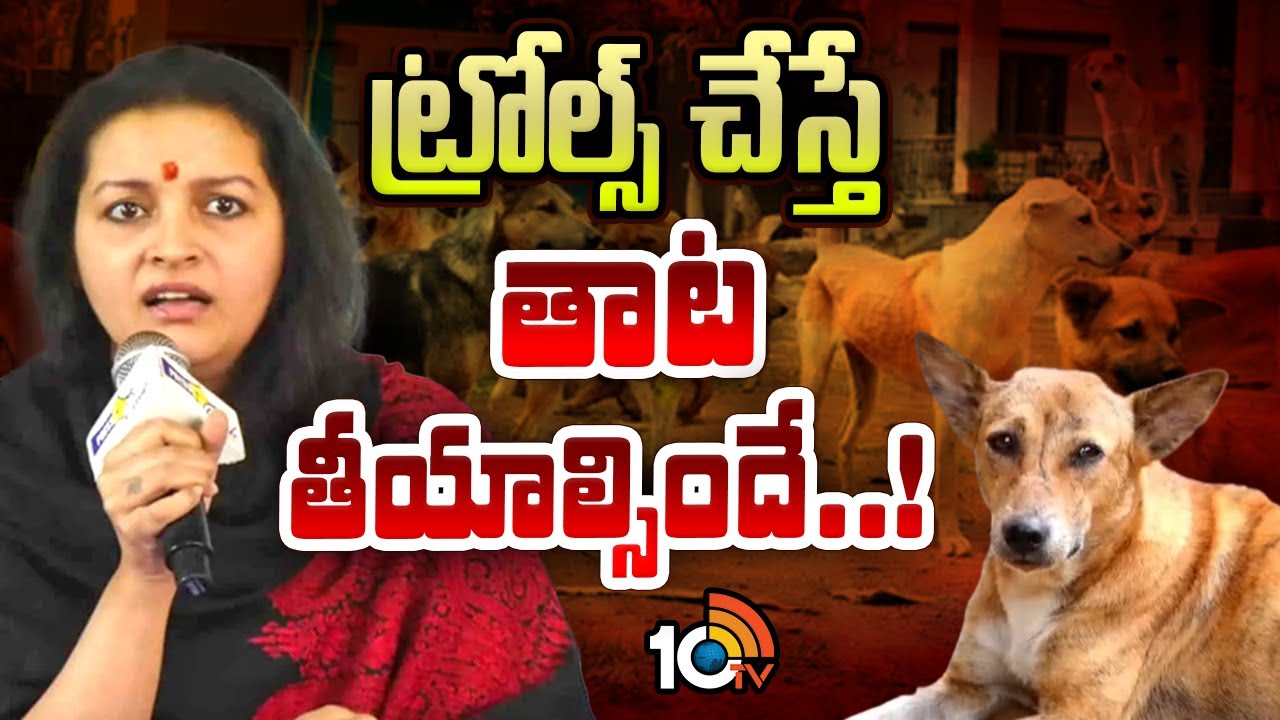 Renu Desai On Society Over Stray Dogs | ట్రోల్స్ చేస్తే తాట తీయాల్సిందే..! | 10TV News