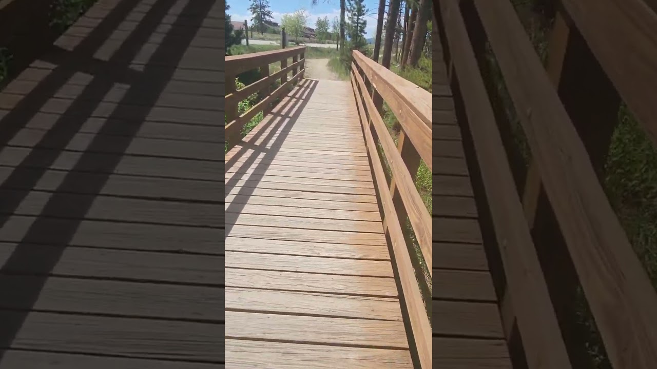 Walking along the Fraser River Trail. June 19th 2024