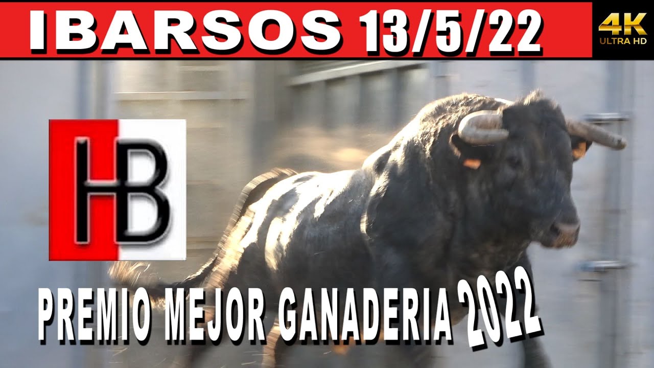 TOROS IBARSOS HNOS BELLES 2022