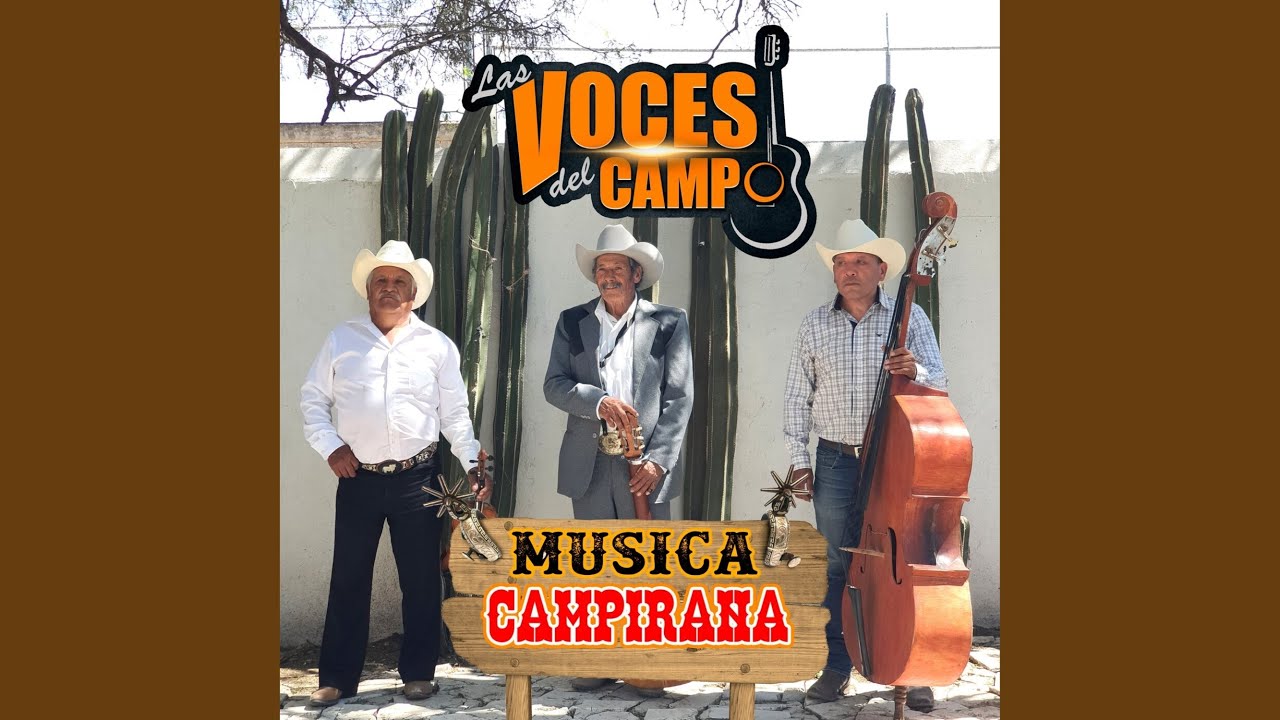 La Piedrecita (En Vivo)