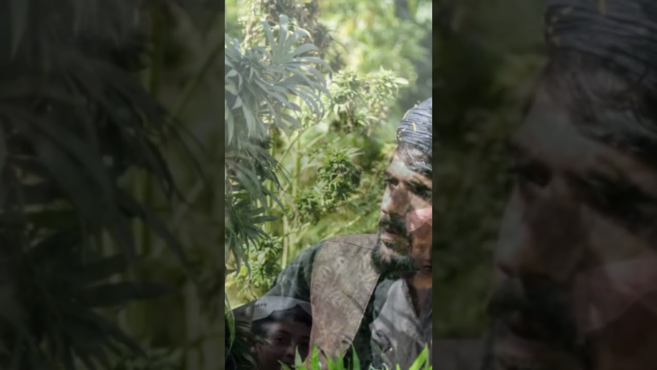 #ouid#weedporn#weedstagram#cannabiscures#cannabissociety
