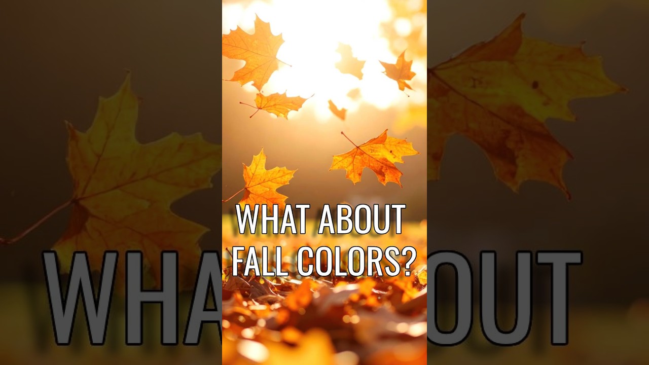 Will drought hurt North Georgia's fall colors?