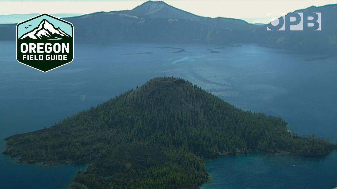 Scientists fight to save Crater Lake’s white-bark pine forests | Oregon Field Guide from the Archive