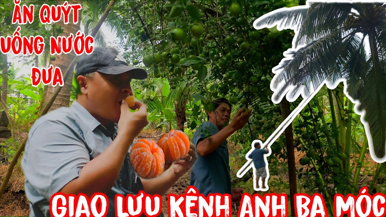 GIAO LƯU Kênh BA MÓC VLOG MIỀN TÂY Tập 1: Tham Quan Vườn Dừa, Ăn Hủ Tiếu Khô Mực 20K Cùng Anh Tung