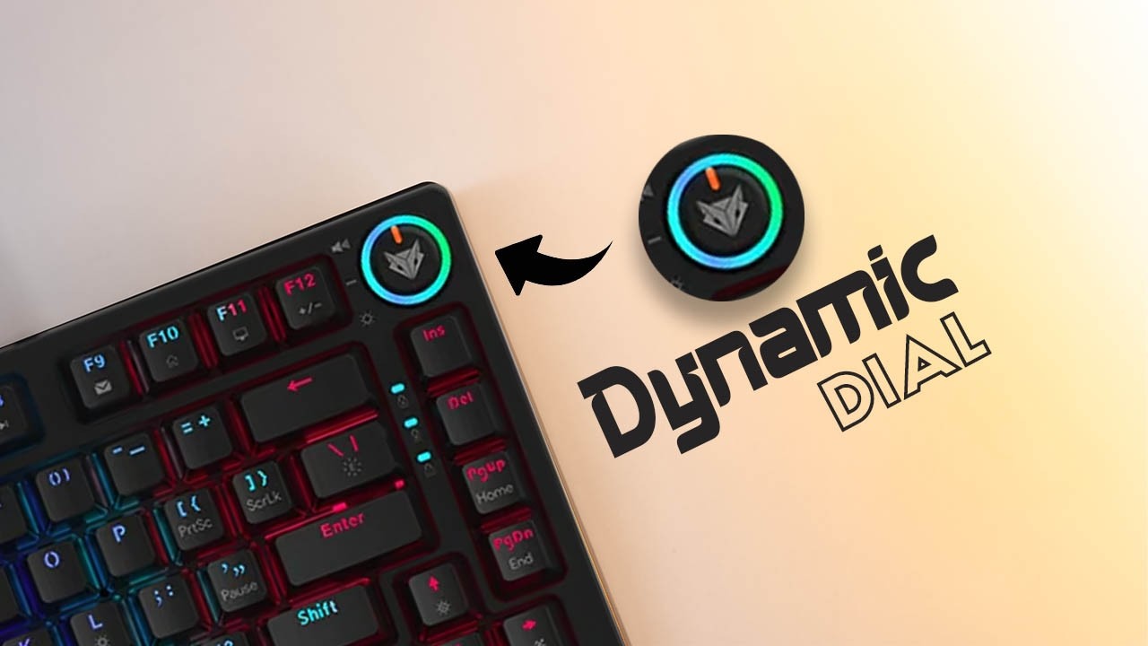 EvoFox Katana X2 TKL Mechanical Gaming Keyboard Review | Best Mechanical keyboard under 2000 in 2024