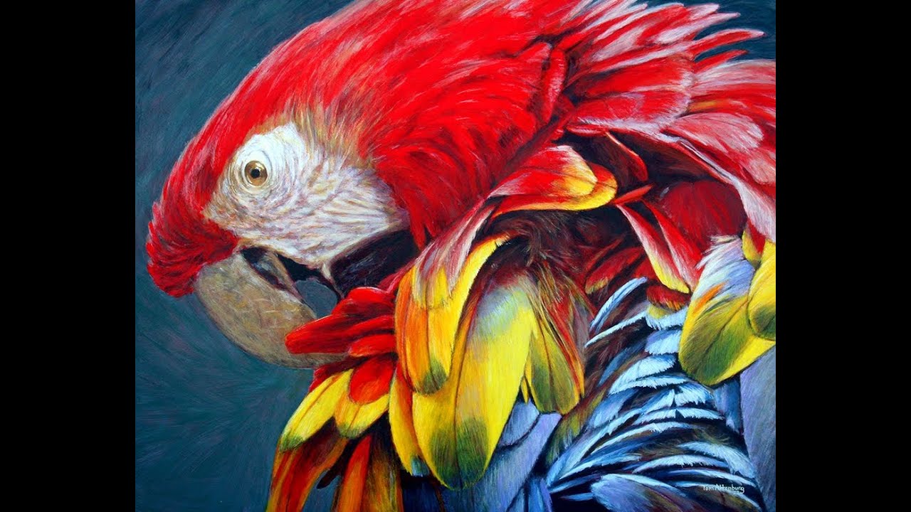 Acrylic Paintings - NOAPS FALL 2022