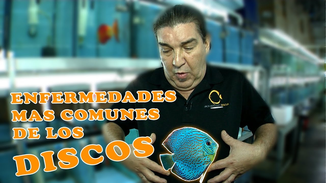 Tratamiento Para Las Enfermedades Mas Comunes
