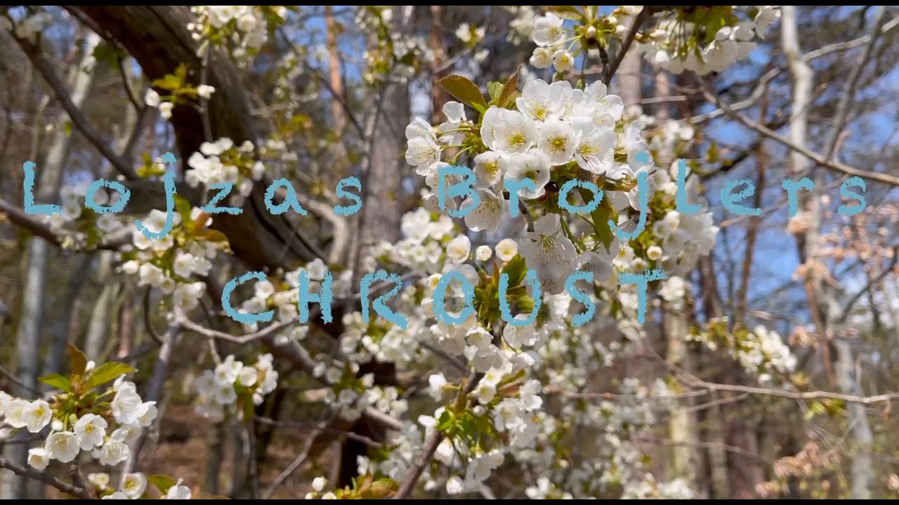 Lojzas Brojlers - Chroust (Official Video)