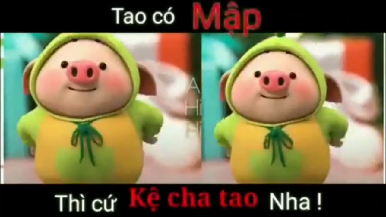 Tao mập kệ cha tao