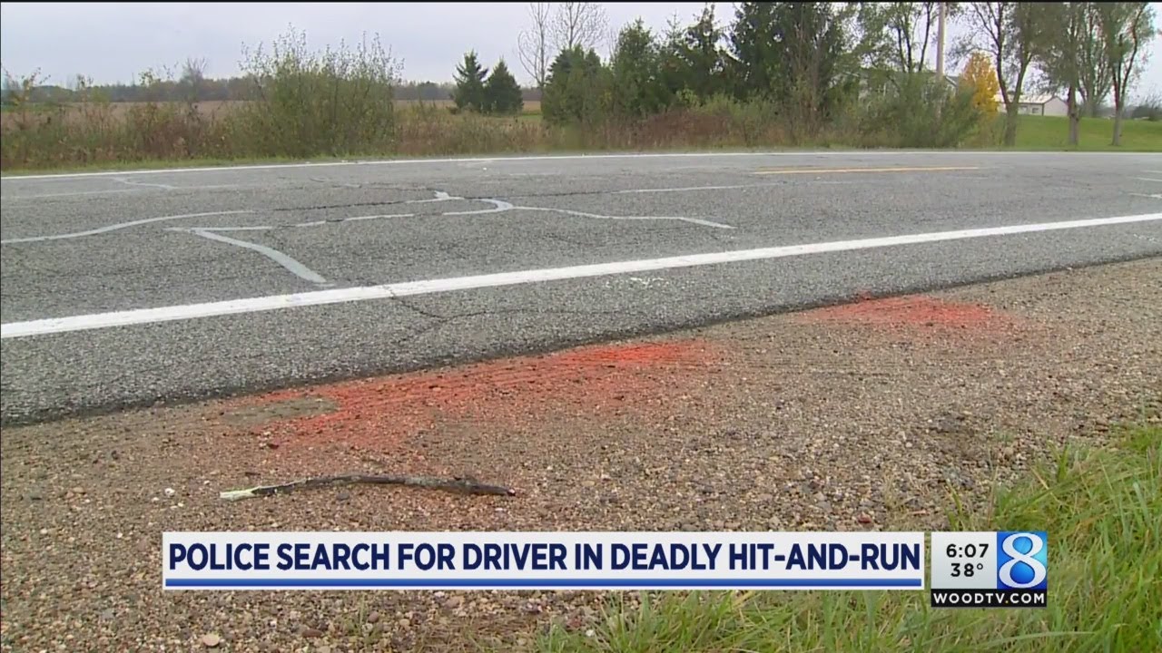 Dog alerts passerby to hit-and-run victim&rsquo;s body