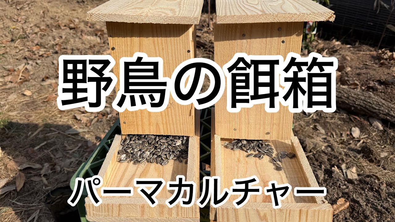 【野鳥の餌箱】鳥は害虫の捕食者　パーマカルチャー