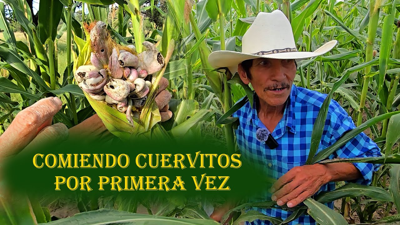 EL VAQUERO LLEVA 3 NOCHES SIN DORMIR, ESTARÁ EMBRUJADO?