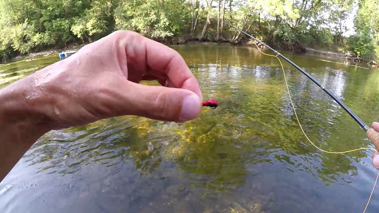 Pêche du chevesne a la mouche