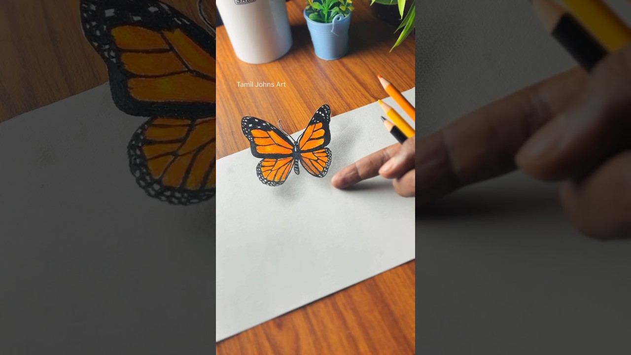 Butterfly 3d drawing 