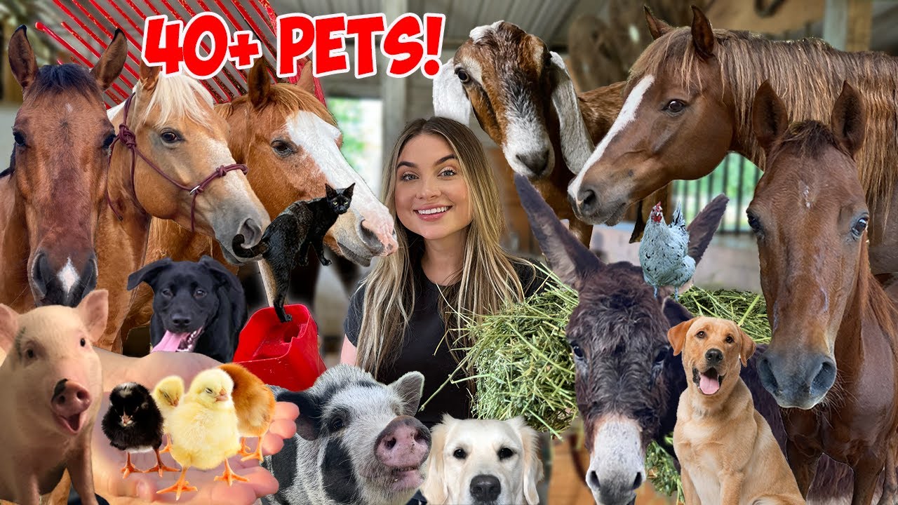 SUMMER MORNING ROUTINE with 40+ PETS!  *CUTE ANIMALS*