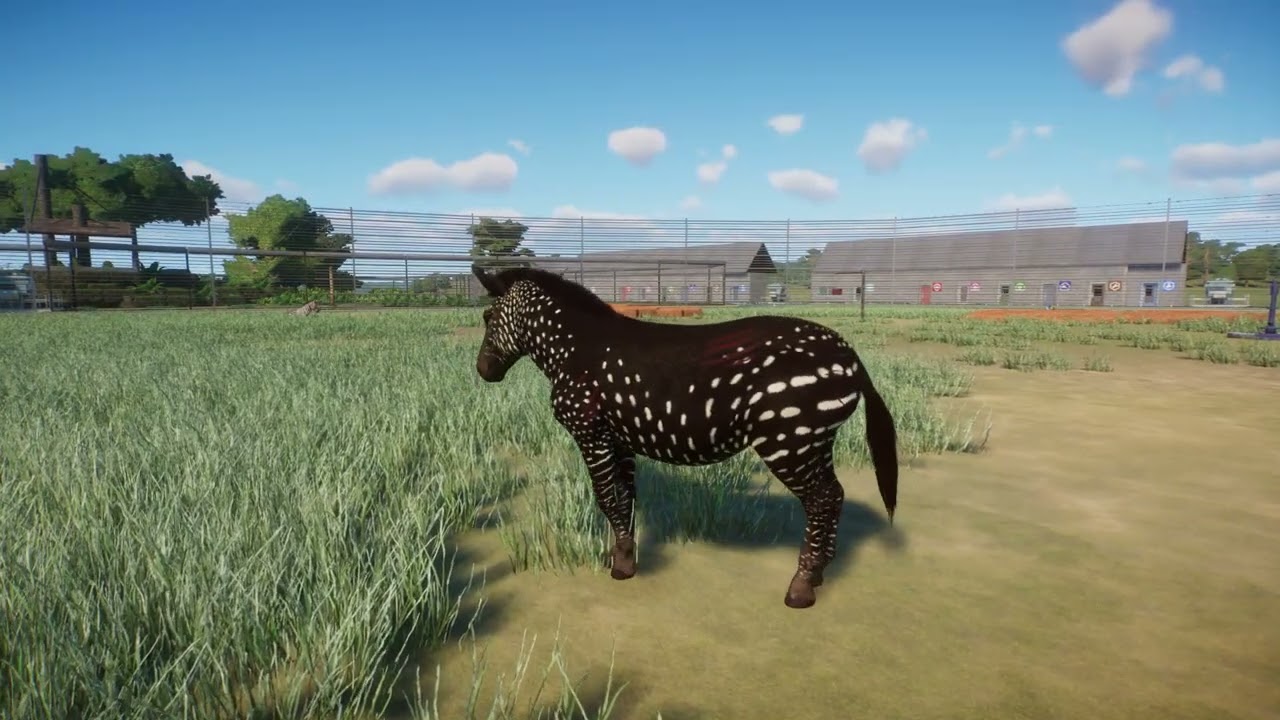 STEPPENZEBRAS 2