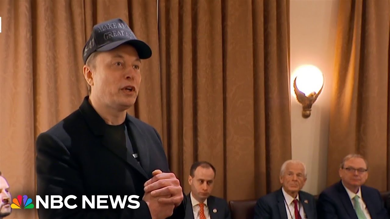&lsquo;We won&rsquo;t be perfect&rsquo;: Elon Musk gives DOGE update at Trump&rsquo;s first Cabinet meeting