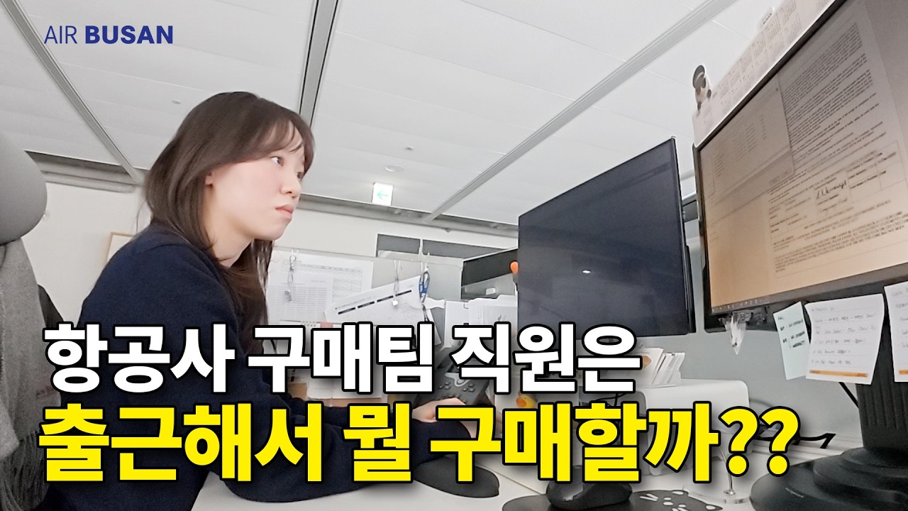 비행기 날개도 사고 꼬리도 사고 그러는 걸까??