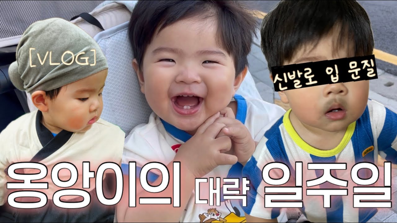 VLOG | 14개월 아기 | 사고뭉치 | 문센데이 | 공원마실 
