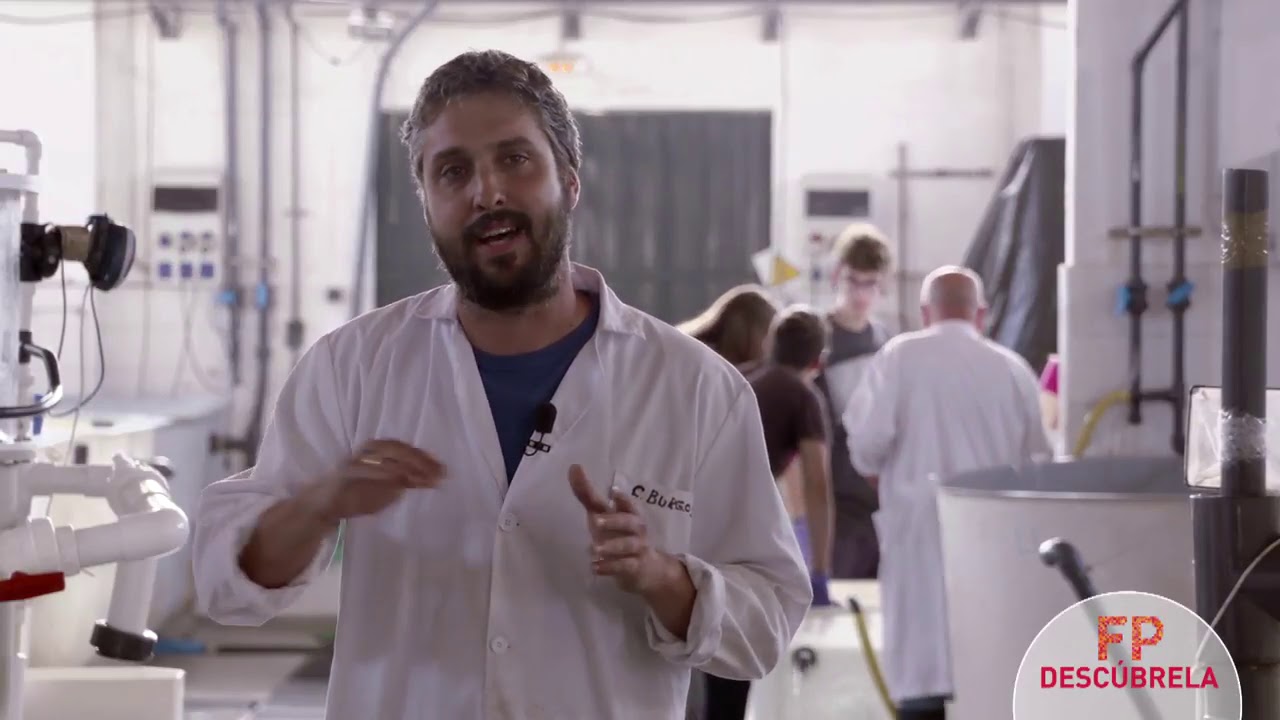 Técnico Superior en Acuicultura   CPIFP MARITIMO ZAPORITO