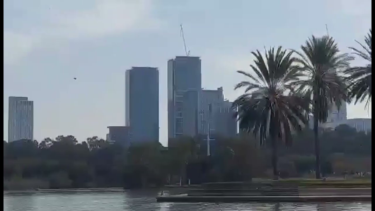 Beautiful View of HaYarkon Park #telaviv #israel
