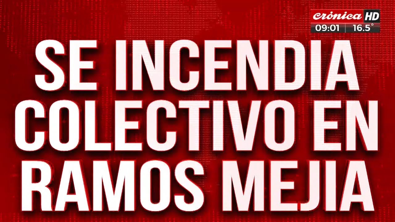 Imágenes impactantes: se incendia colectivo en Ramos Mejía