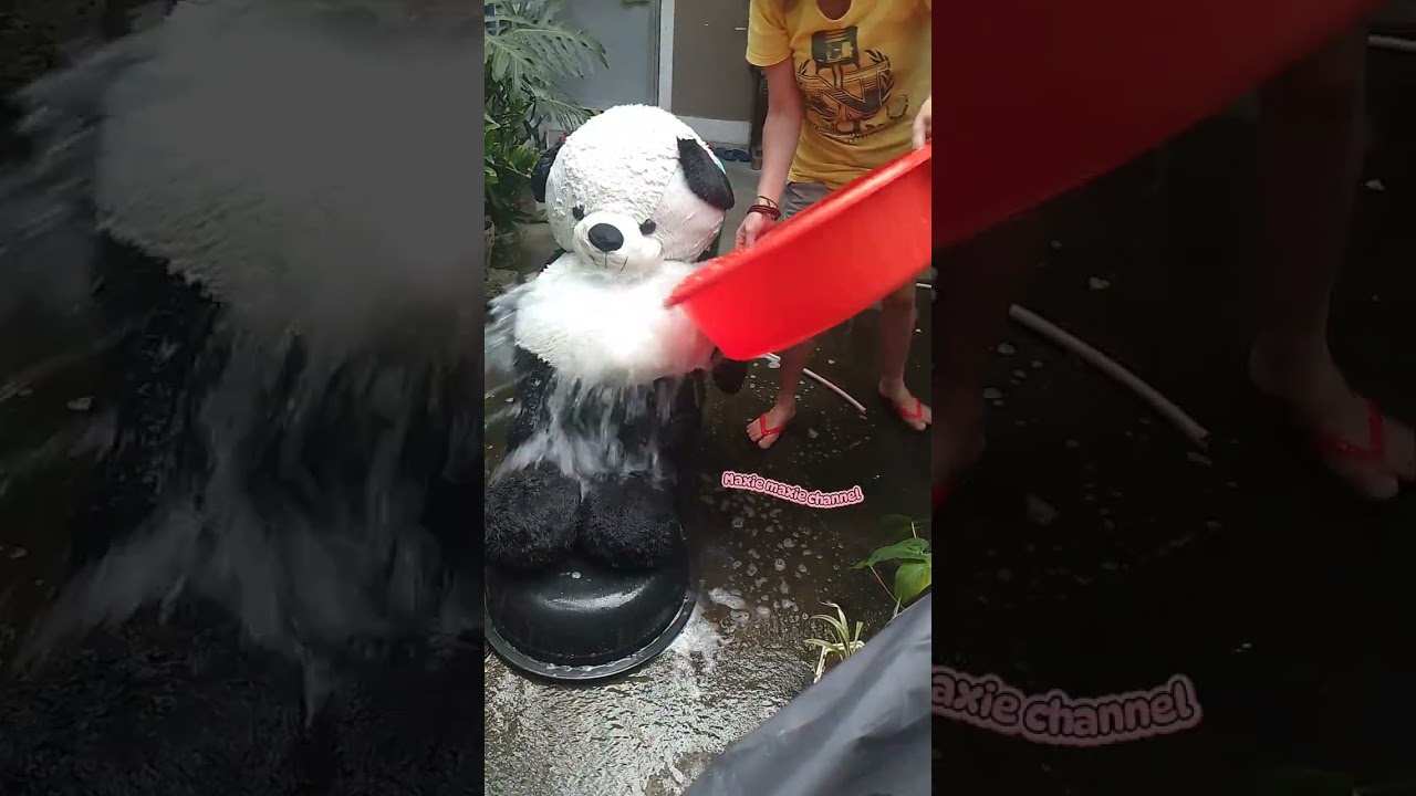 Bathing of Panda #stufftoys #stufftoy 