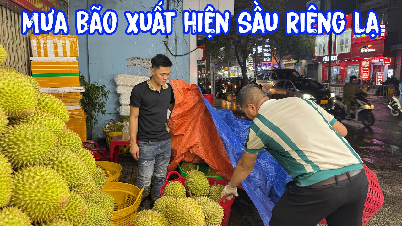 🟢Xuất hiện sầu riêng có tên gọi lạ trong ngày mưa bão tại Sài gòn