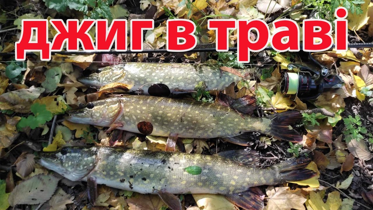 Цей монтаж не відірвати Щука на джиг в траві та корчах Рибалка на спінінг 2022