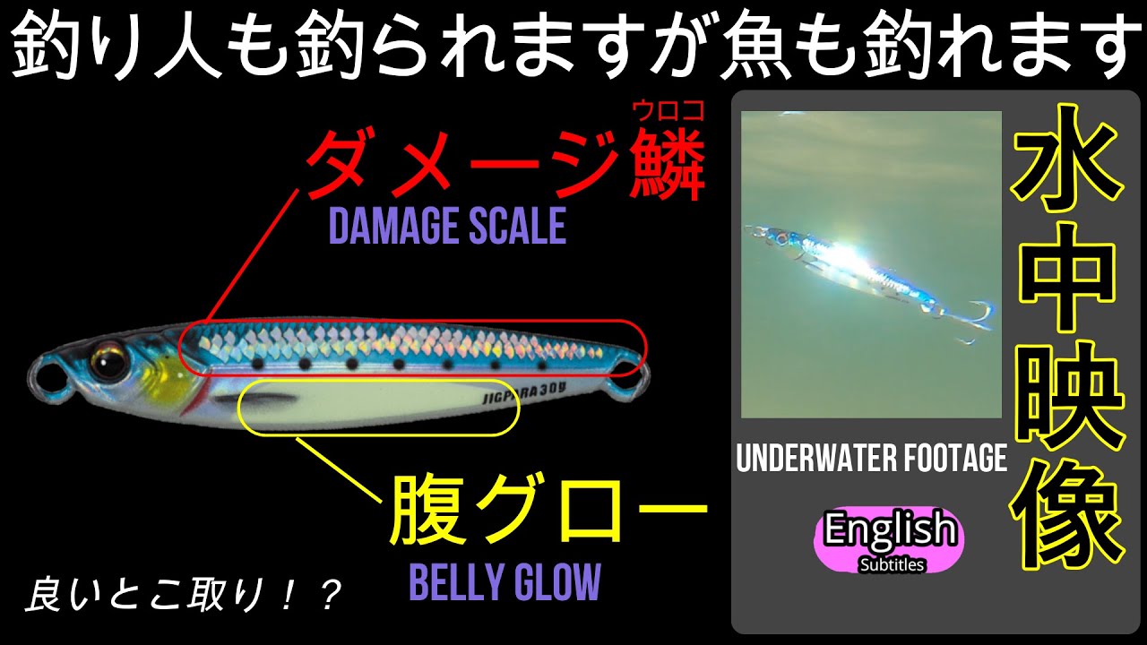 ジグパラダメージ鱗＋腹グロー水中映像　良いとこ取りは釣れるのか？ショアジギング　メジャークラフト　メタルジグ2022年新色