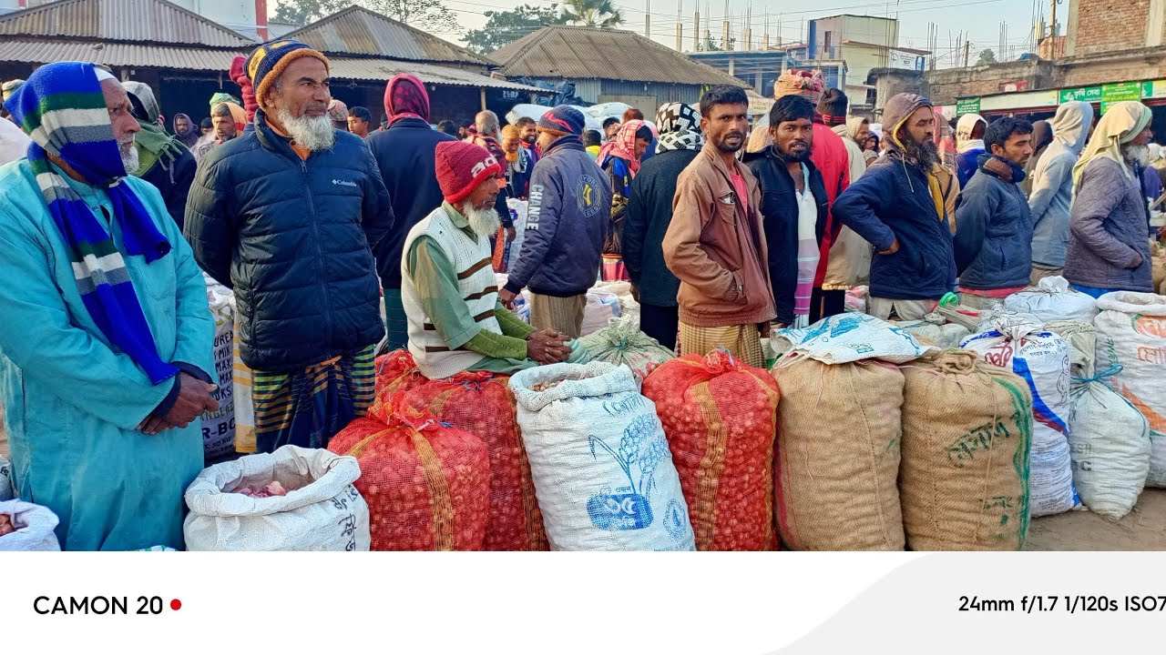 আবারও পরিবর্তন হয়ে গেল দেশি পেঁয়াজের পাইকারি বাজার! ৬ জানুয়ারি ২০২৬ শুক্রবার পাবনার ধুলাউড়ি হাট!