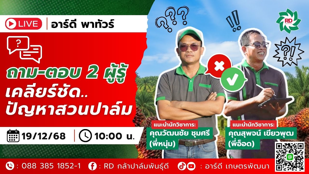 ถาม-ตอบ 2 ผู้รู้ เคลียร์ชัด ช่วยตอบปัญหาสวนปาล์ม