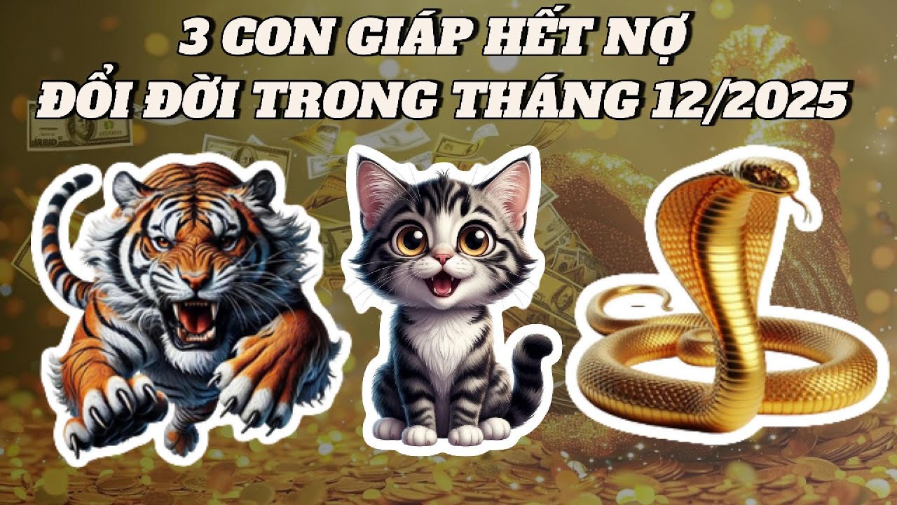 3 TUỔI 