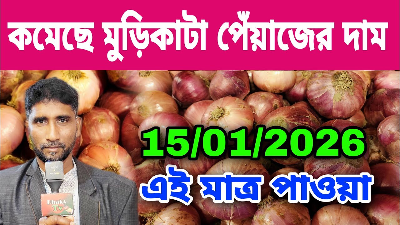 15/01/2026 মুরি কাটা পেঁয়াজের বাজার কমতেই কৃষক বিপদে পড়লেন আজকের খবর আজকের পেঁয়াজ রসুনের দাম কত ?