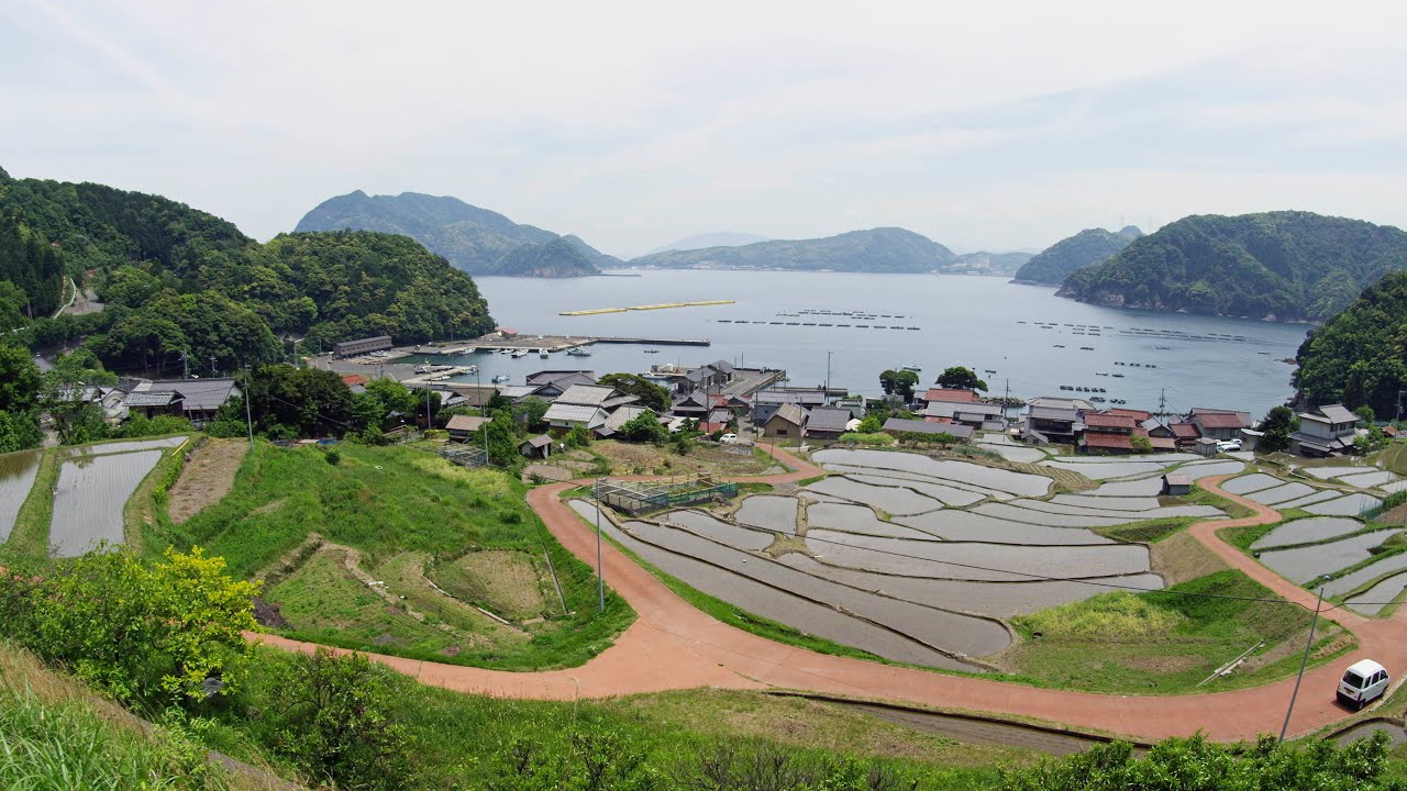 [ 4K Ultra HD ] 日本棚田百選 日引の棚田 Terraced rice fields of HIBIKI (Shot on RED EPIC)
