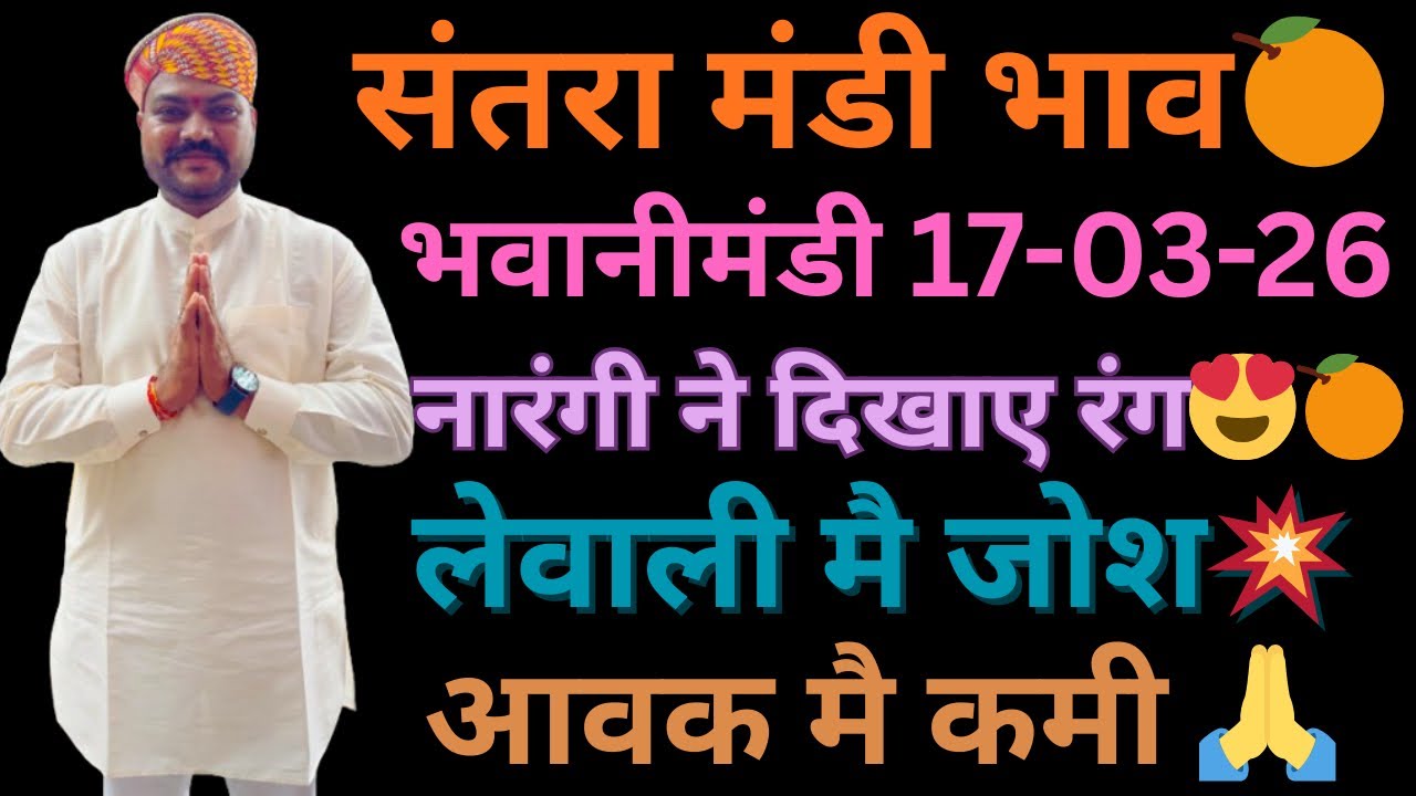 नारंगी ने दिखाए रंग😍🍊लेवाली मै जोश||आवक मै भारी कमी||भवानीमंडी दिनांक 17-03-26 #orenge #santra 
