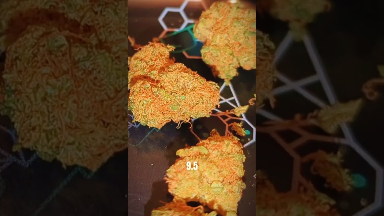 🍰 FINAL REVIEW: Cake & Caviar Waffle Bites | Medical 🌿 Flower Review
