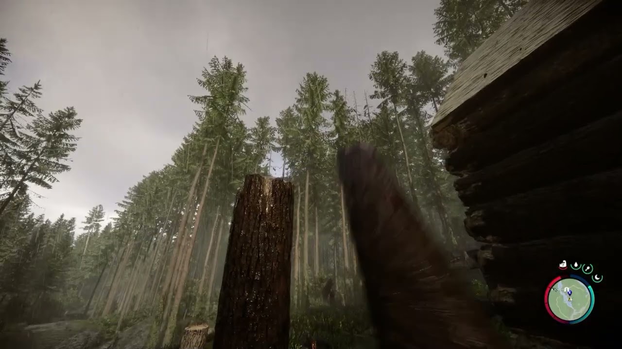 Sons of the Forest #2