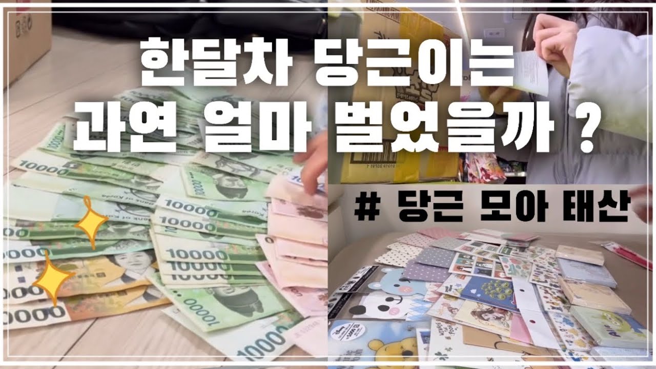 당근마켓 브이로그 | 🥕내가 당근을 시작하게 된 이유는? , 목표도달 , 이제 직거래 달인🥕